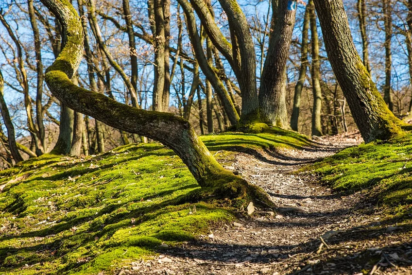 Proven Methods for a Memorable Hiking Experience
